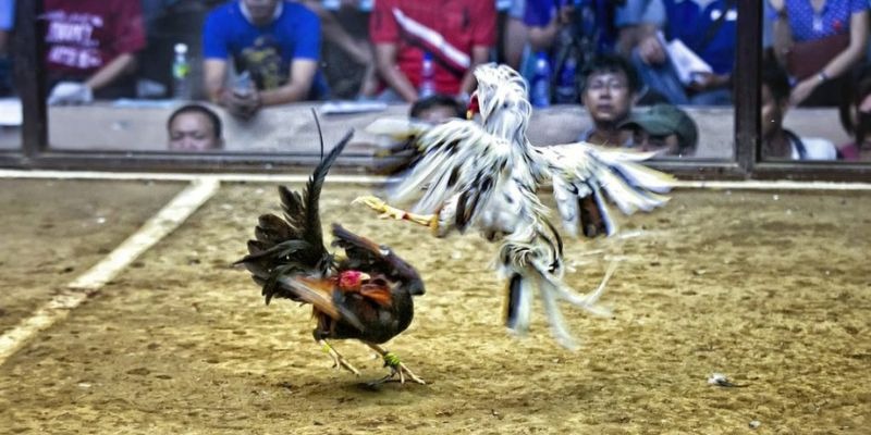12bet ﻿đăng nhập lô đề uy tín