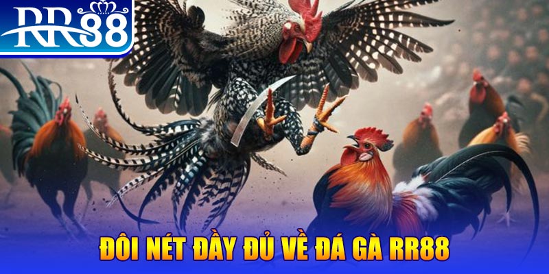 12bet gà chọi hoà phong