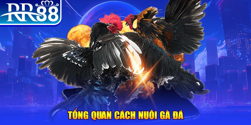 12bet xổ số thứ ba