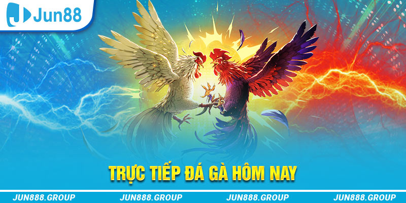 12bet trực tiếp đá gà thomo