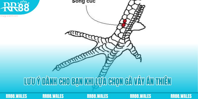 12bet xổ số khánh hòa