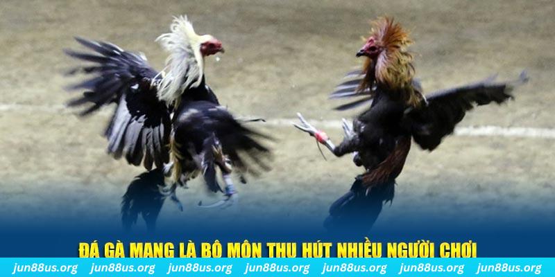 12bet xổ số long an