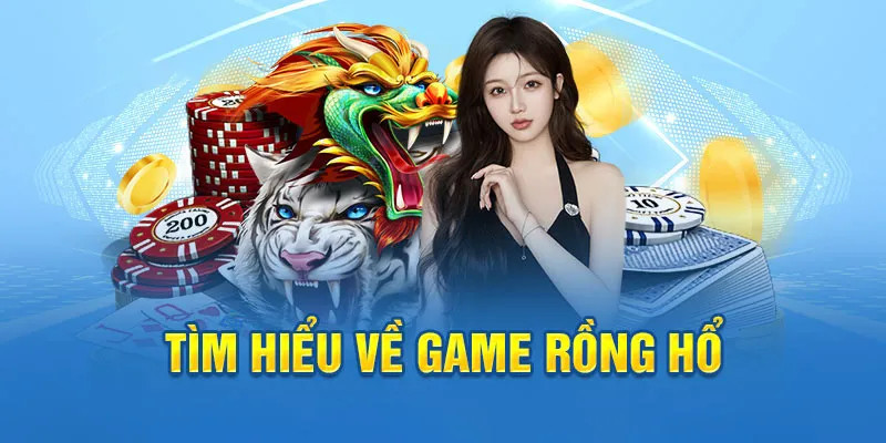 12bet ai tool slot 8.0