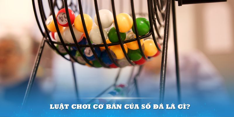 12bet Đĩa màu ace