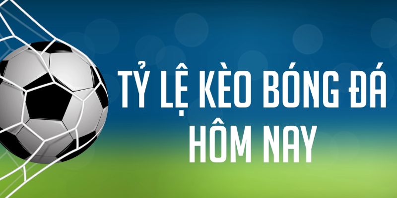 12bet ÁT CHỦ MÁY HOA QUẢ THẦN TÀI