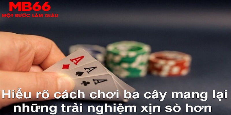 12bet DB Trực Tuyến