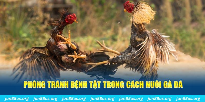 12bet natural” trong baccarat nghĩa là gì？