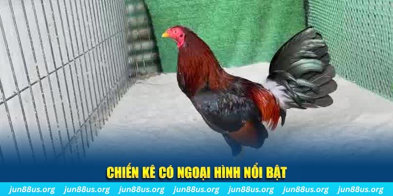 12bet nhạc slot là gì