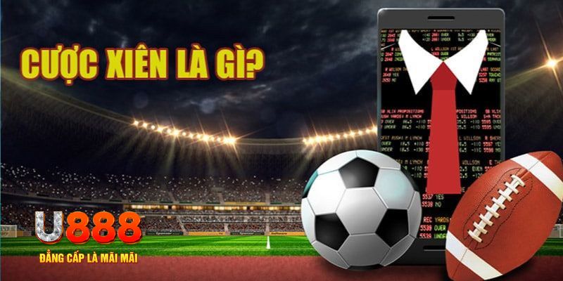 12bet đá gà thomo hôm nay